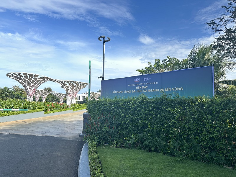 cá cược thể thao hul city